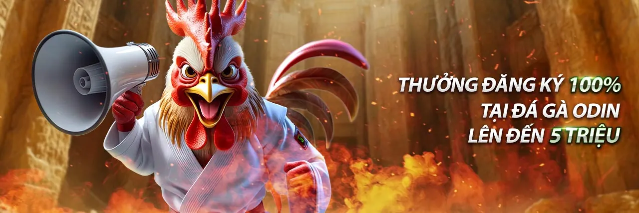 Hình ảnh minh họa chính sách cookie và bảo mật dữ liệu của f88 trực tuyến